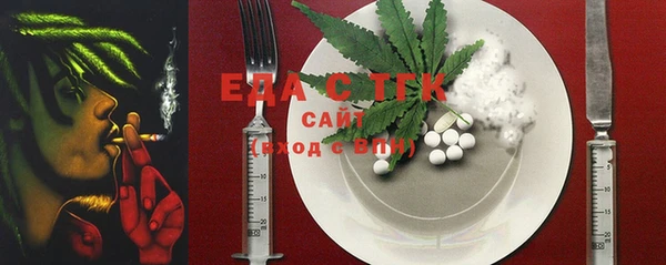 индика Баксан