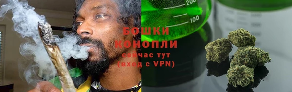 индика Баксан