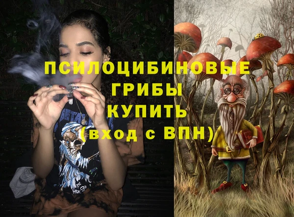 индика Баксан