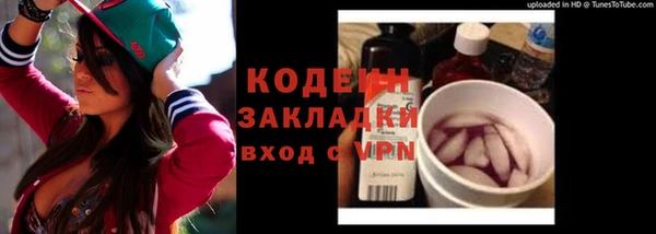 индика Баксан