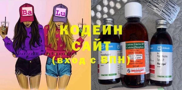 индика Баксан