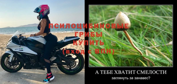 индика Баксан