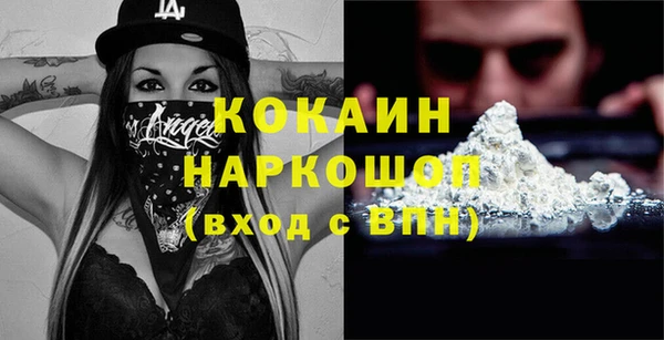 индика Баксан