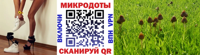 что такое Власиха Галлюциногенные грибы GOLDEN TEACHER